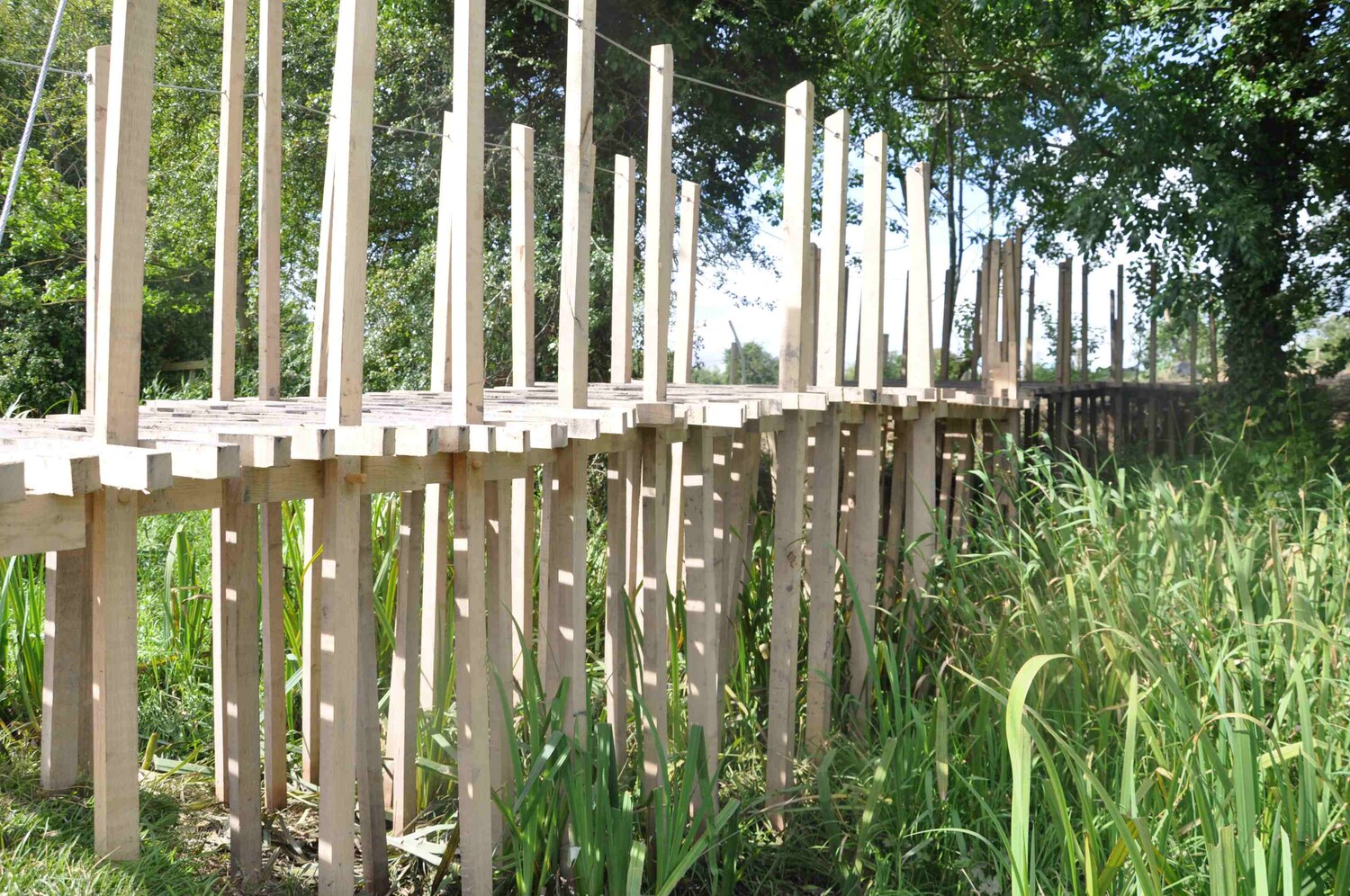 Image - Seasonal Bridge